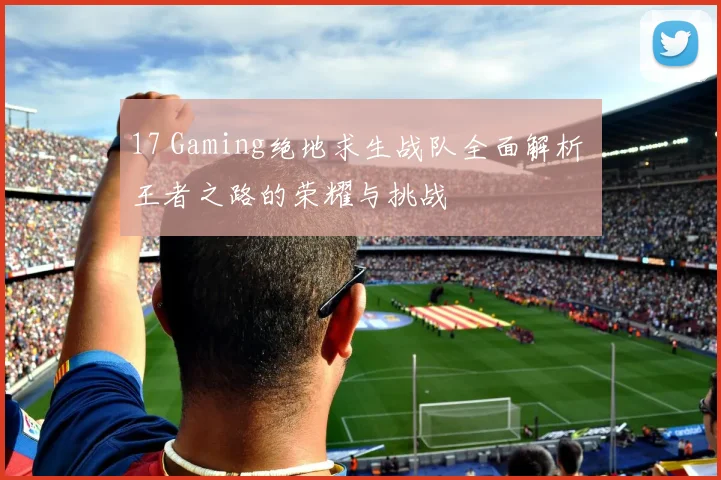 17 Gaming绝地求生战队全面解析 王者之路的荣耀与挑战