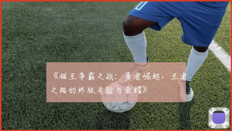 《猫王争霸之战：勇者崛起，王者之路的终极考验与荣耀》