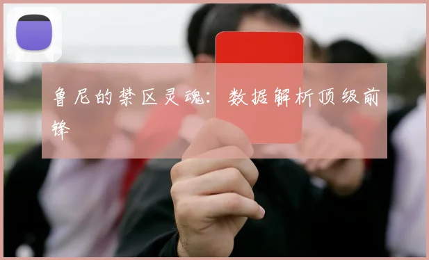 鲁尼的禁区灵魂：数据解析顶级前锋
